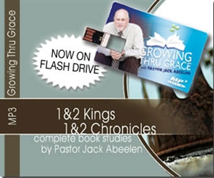Picture of MP3 1 Kings - 2 Chronicles