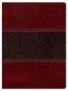 Picture of Study Bible-NKJV 