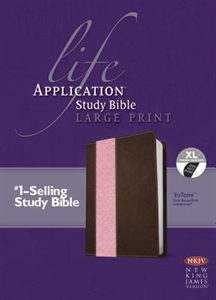 Picture of Life Application Bible