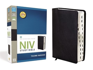 Picture of Study Bible-NIV 